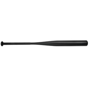 Mizuno CRBN1 - Cage Bat - Fastpitch Softball Training Bat (-10)