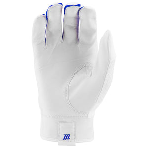 Youth Quest 2.0 Batting Gloves - Sports Excellence